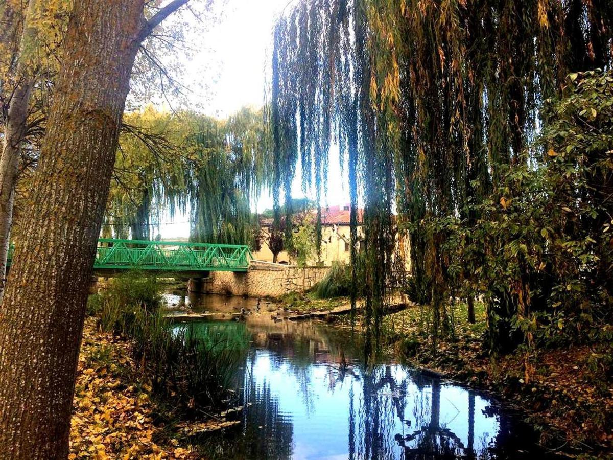 Apartamento Ribera Del Duero Reserva Tubilla del Lago Extérieur photo